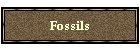 Fossils