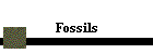 Fossils