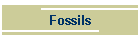Fossils