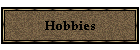 Hobbies